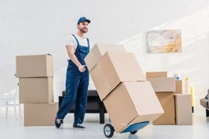 moving guy carrying boxes