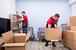 men loading the cardboard boxes during moving