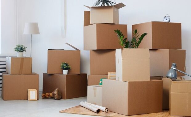 background image of cardboard boxes stacked in empty room with plants and personal belongings inside