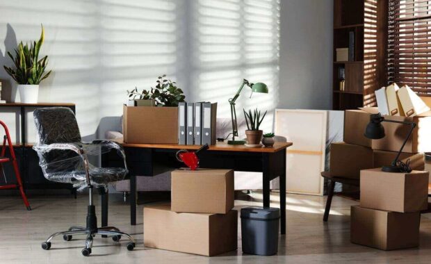 moving boxes, houseplants and furniture in new office