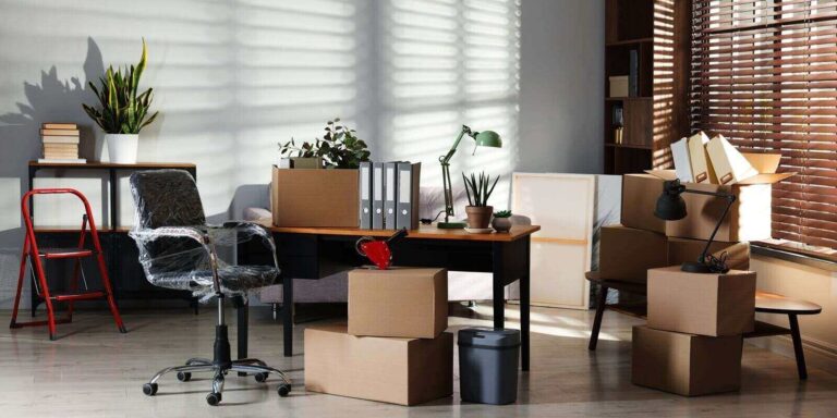 moving boxes, houseplants and furniture in new office