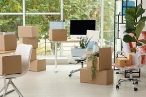 moving boxes, houseplants and furniture in new office