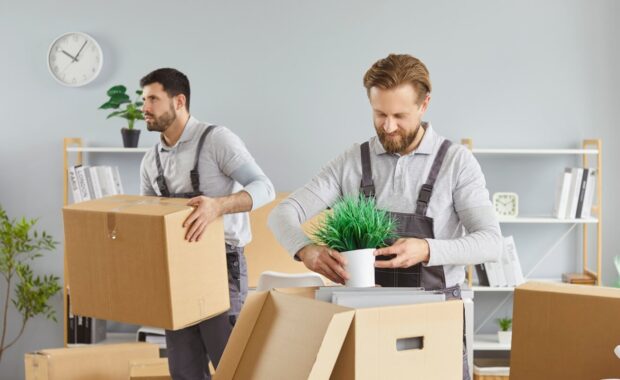 packing boxes, moving delivery pack service, male movers team moving cardboard boxes