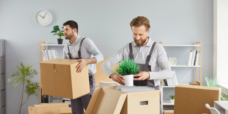 packing boxes, moving delivery pack service, male movers team moving cardboard boxes