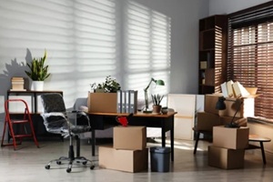 moving boxes, houseplants and furniture in new office